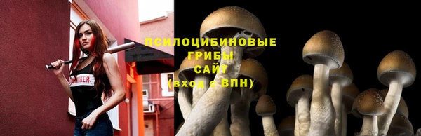 дурь Новокубанск