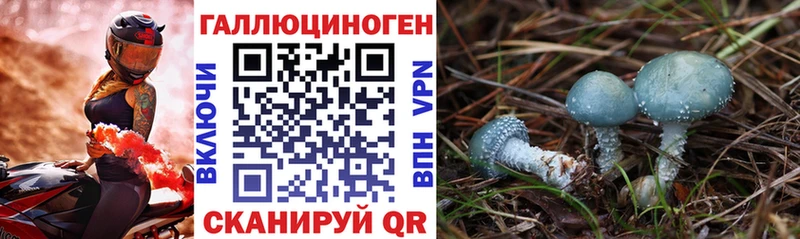 даркнет сайт  Невьянск  Псилоцибиновые грибы мицелий 